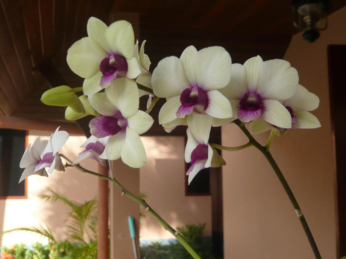 The Pace Phuket Boutique Resort Rawai المظهر الخارجي الصورة